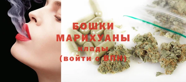 крисы Богородицк