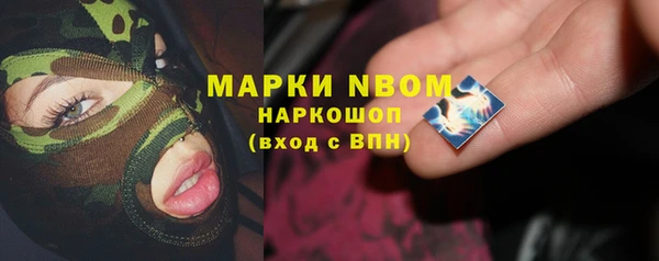 крисы Богородицк