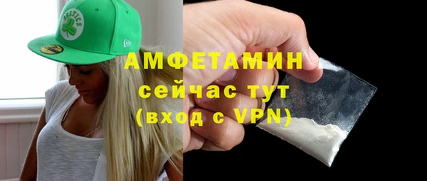 крисы Богородицк